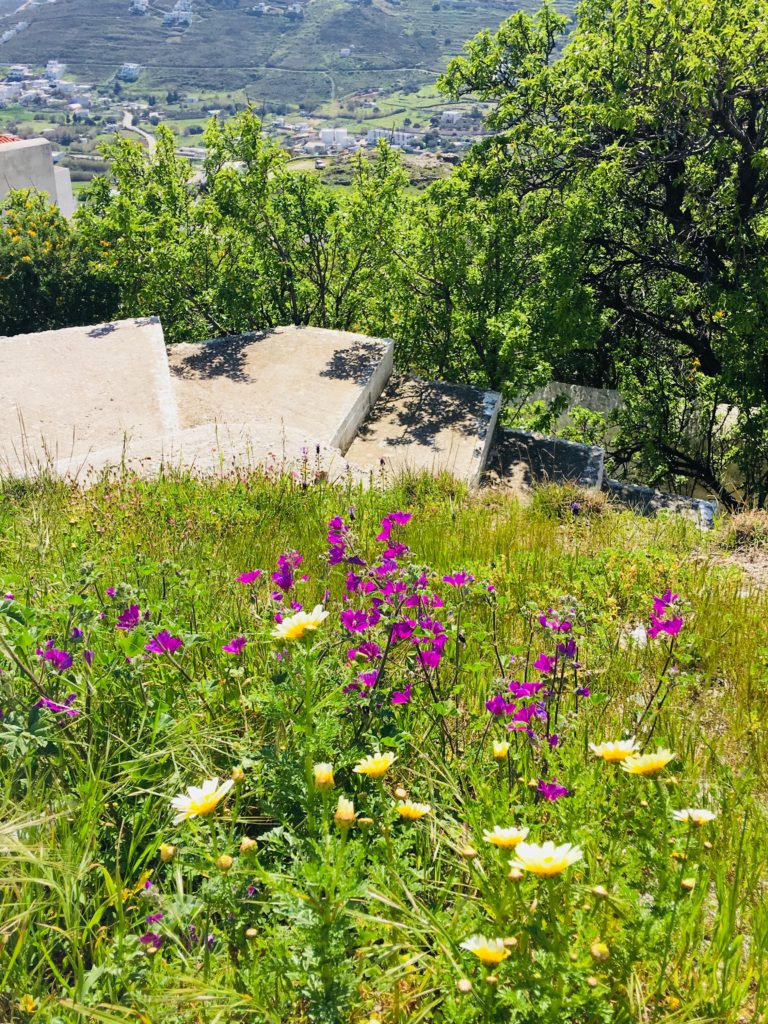 Steps on a hillside in Serifos, Greece remind a writer that travel tips and travel advice don’t outrank personal travel discoveries. (Image © Joyce McGreevy)