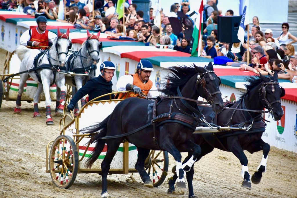 Chariot drivers and horses race at Heroes Square, reflecting the best of Budapest "fast and slow." Image © Joyce McGreevy