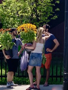 A group of people carrying flowering plants to a city street evokes our need to apply creative problem-solving to urban spaces. (Image © Joyce McGreevy)
