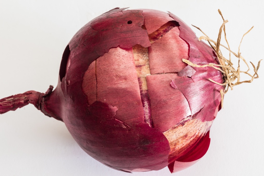 A thick-skinned red onion, believed to predict weather, signifies that, even aside from being a staple of global cuisine, alliums have influenced ideas across cultures. (public domain image from Pxhere)
