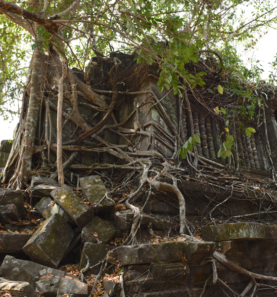 Beng Melea Temple in Angkor, Siem Reap, Cambodia, one of the Angkor temples in one of the amazing places on earth. (Image © Meredith Mullins.)