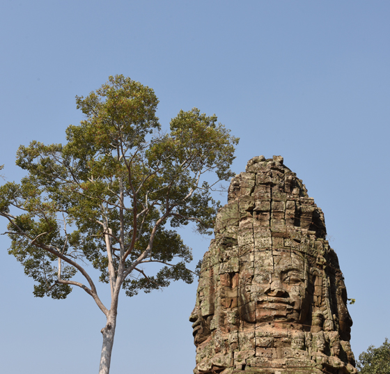 Faces at Ta Prohm Temple in Angkor, Siem Reap, Cambodia, one of the Angkor temples in one of the most amazing places on earth. (Image © Meredith Mullins.)