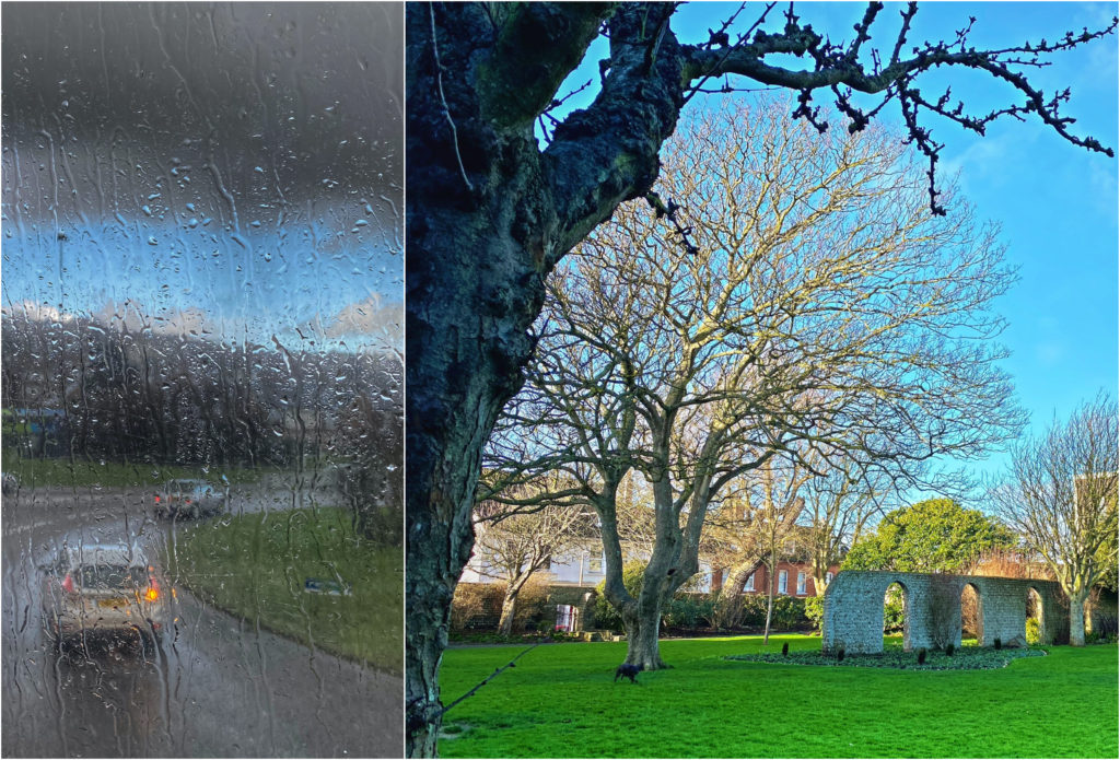 Rainy English weather and a lush green garden in East Sussex remind a traveler that winter travel has its rewards. (Image © Joyce McGreevy)