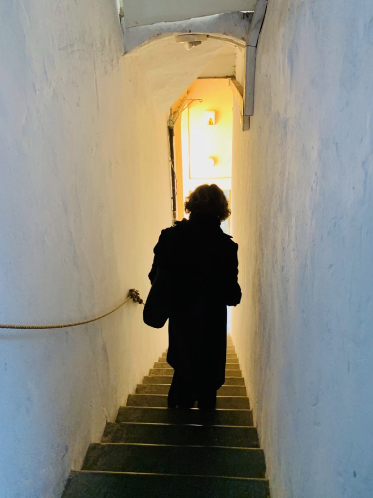 Shadow of a woman on stairs in a restorer's studio in Florence where Jane Adams of Advancing Women Artists is working to restore the hidden half of Italy's artistic heritage. (Image © by Joyce McGreevy)