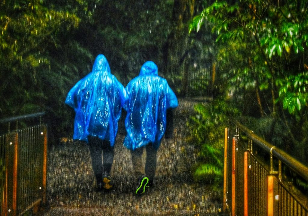 Two people in raincoats crossing a footbridge in a downpour evoke the Brazilian proverb, "Good will makes the road shorter,” a cultural saying that now reads as a quarantine quote about the need to protect and respect each other during the Covid pandemic. (Image © Joyce McGreevy)