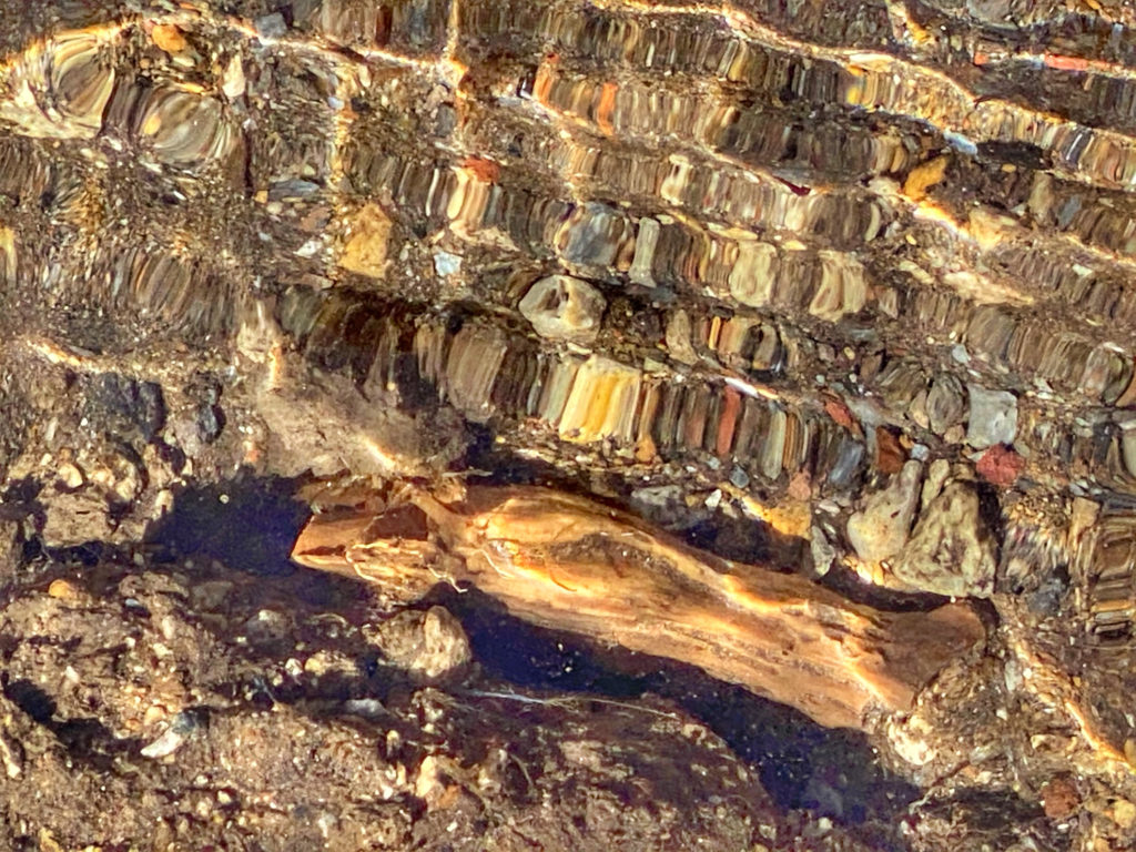 A rock pool at Elk Lake, Oregon figures in the author’s personal celebration of blue spaces and inspires her to take a closer look at personal and cultural beliefs about water, including the blue mind theory. (Image © Joyce McGreevy)