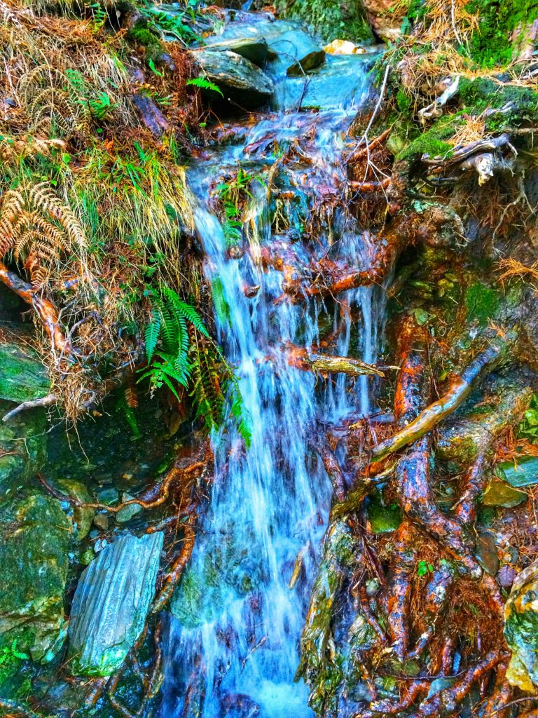 A rivulet reminds the author that almost any blue space can inspire cultural beliefs about water, traditions, and celebrations, and the cultivation of a blue mind. (Image © Joyce McGreevy)