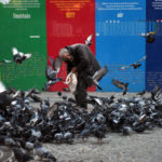 The Paris Pigeon Man