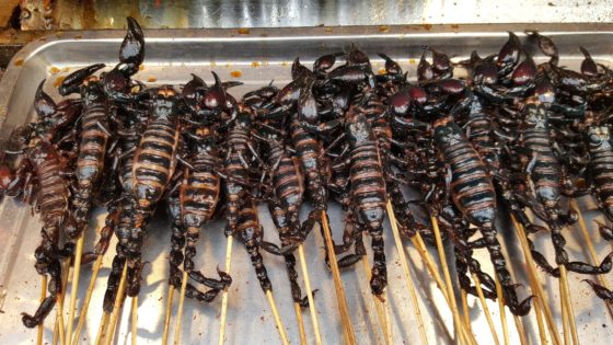 Skewered scorpions, showing cultural traditions of chocolate for National Chocolate-Covered Anything Day. (Image by PxHere.)