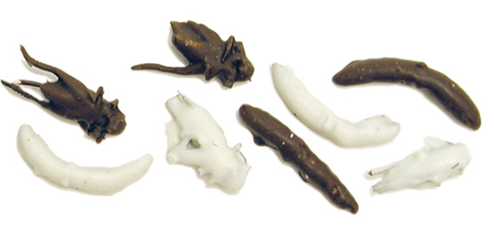 Chocolate covered insects, showing the cultural traditions of National Chocolate-Covered Anything Day. (Image courtesy of Educational Innovations.)