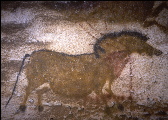 Cave painting of a horse from the Lascaux caves, showing that art discoveries can lead to new adventures and travels to the past. (Image courtesy of the French Ministry of Culture.)