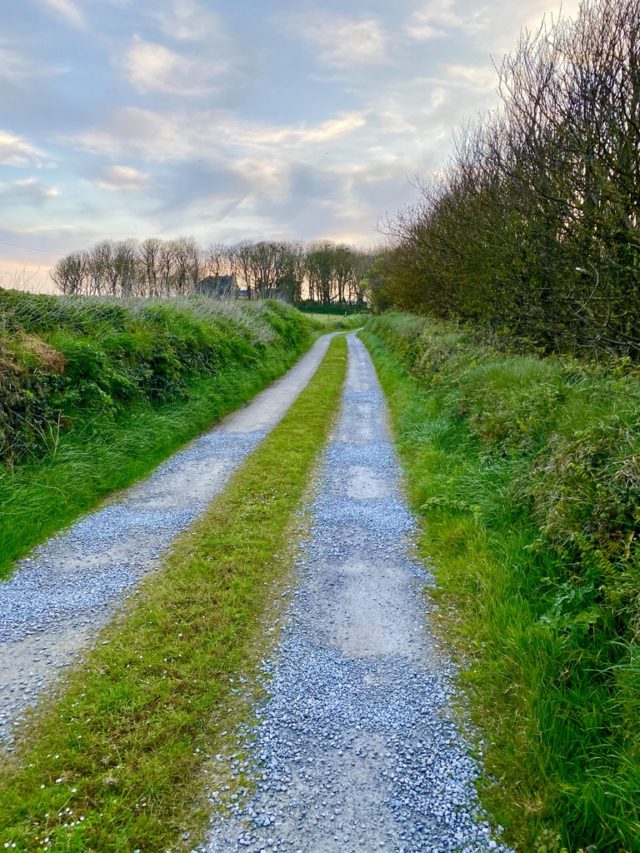 An Irish road in March evokes memories celebrated with cultural authenticity on St Patrick’s Day in Ireland. (Image © Joyce McGreevy)