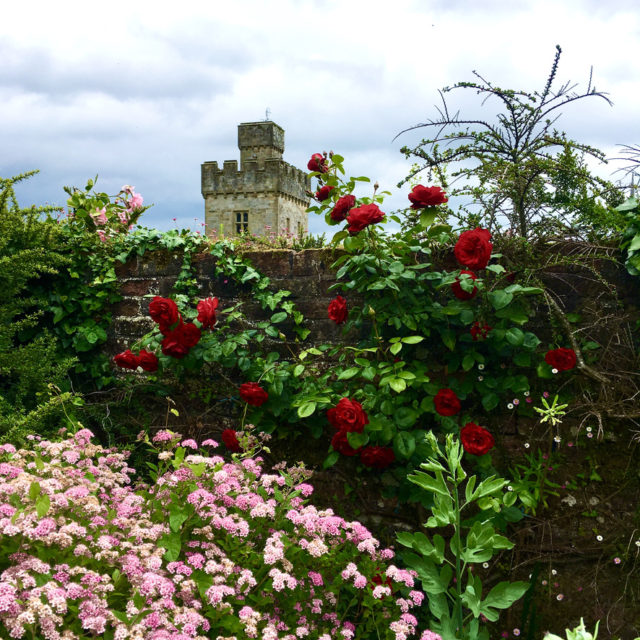 Ireland’s Lismore Castle with spring flowers evokes memories celebrated with cultural authenticity on St Patrick’s Day in Ireland. (Image © Joyce McGreevy)