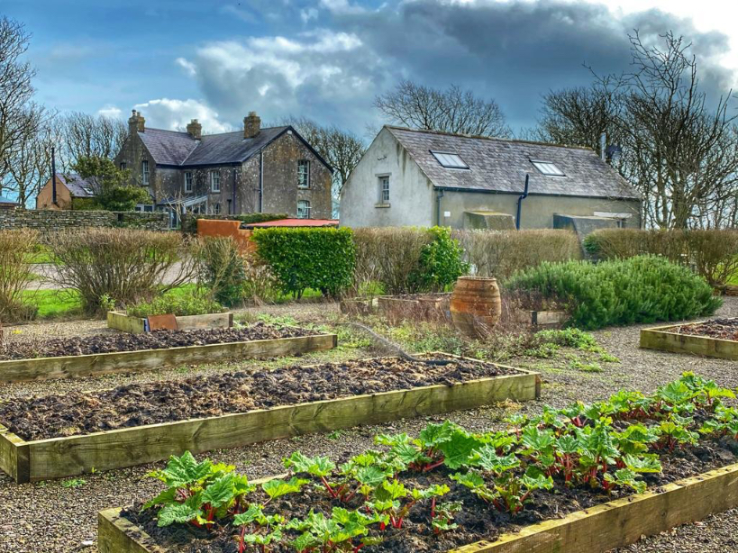 A garden in Ballyshane, County Cork, Ireland welcomes all virtual visitors, as loved ones become virtual travelers to stay connected across the miles during a time of social distancing and self-isolation. (Image © by Joyce McGreevy)