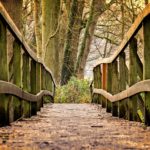 View down a wooden bridge, symbolizing connections between different cultures. (Image © Tama66/Pixabay)