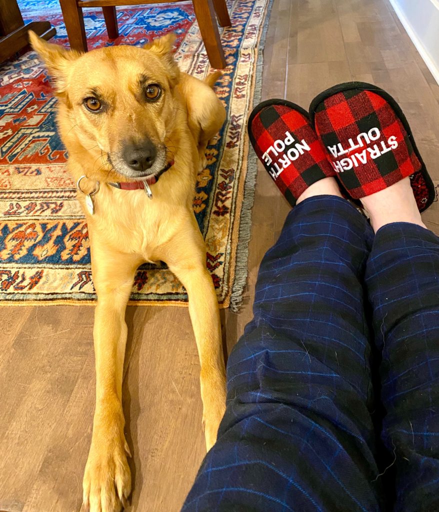 A dog looking amused by an owner’s silly Christmas slippers reminds the author that a sense of humor is a cross-cultural tool for staying calm during a crisis. (Image © Joyce McGreevy)