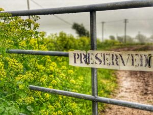 A sign for a preserve on the gate to a field in rural Ireland evokes the importance of protecting nature, which is both awe-inspiring and fragile. (Image © Joyce McGreevy)