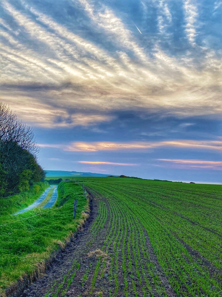 A sunrise in Ireland is awe-inspiring, a reminder that noticing nature every day reflects a cultural attitude of valuing the environment. (Image © Joyce McGreevy)