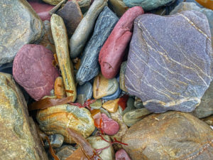 Sea stones and kelp on a beach in County Cork, Ireland evokes the idea that the smallest details in the environment can inspire us with awe and strengthen our connectedness to nature. (Image © Joyce McGreevy)